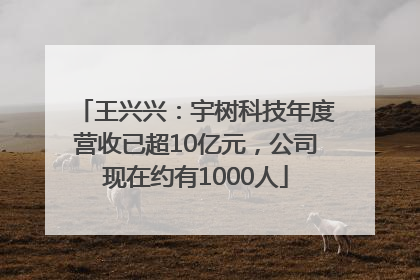 王兴兴：宇树科技年度营收已超10亿元，公司现在约有1000人