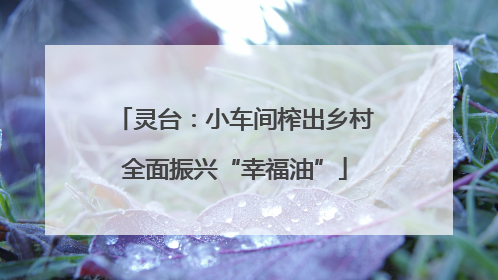 灵台：小车间榨出乡村全面振兴“幸福油”