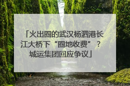 火出圈的武汉杨泗港长江大桥下“圈地收费”？城运集团回应争议