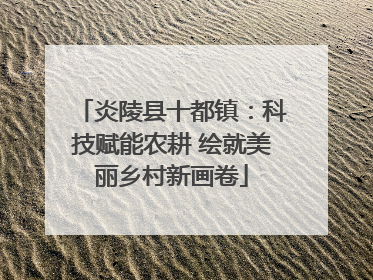炎陵县十都镇：科技赋能农耕 绘就美丽乡村新画卷