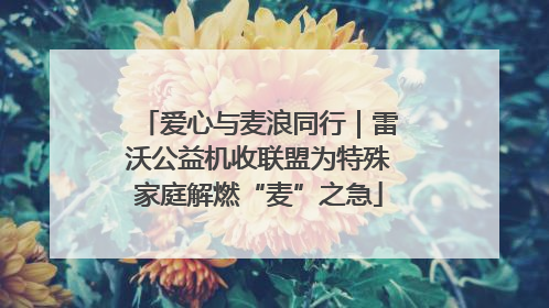 爱心与麦浪同行｜雷沃公益机收联盟为特殊家庭解燃“麦”之急