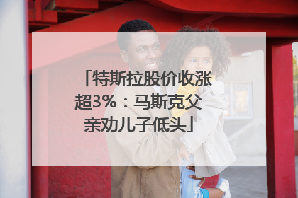 特斯拉股价收涨超3%：马斯克父亲劝儿子低头