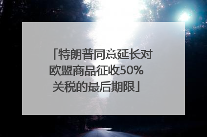 特朗普同意延长对欧盟商品征收50%关税的最后期限