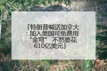 特朗普喊话加拿大：加入美国可免费用“金穹” 不然要花610亿美元