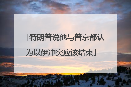 特朗普说他与普京都认为以伊冲突应该结束