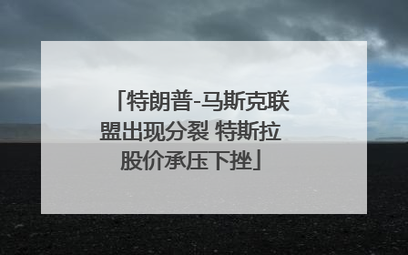 特朗普-马斯克联盟出现分裂 特斯拉股价承压下挫