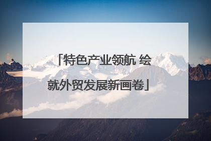 特色产业领航 绘就外贸发展新画卷