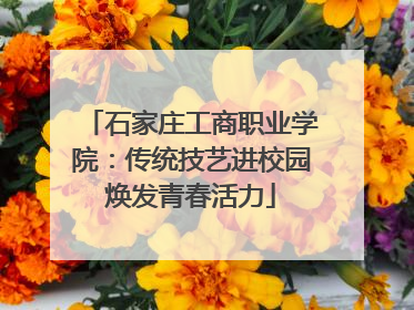 石家庄工商职业学院：传统技艺进校园焕发青春活力