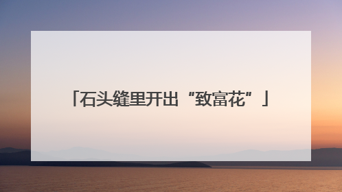 石头缝里开出“致富花”