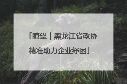 瞭望｜黑龙江省政协精准助力企业纾困