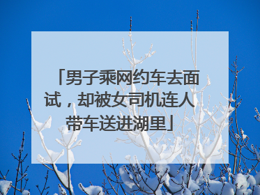 男子乘网约车去面试，却被女司机连人带车送进湖里