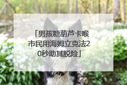 男孩糖葫芦卡喉 市民用海姆立克法20秒助其脱险