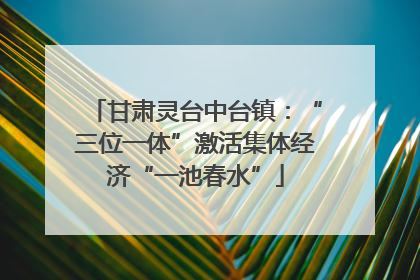 甘肃灵台中台镇：“三位一体”激活集体经济“一池春水”