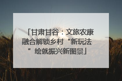 甘肃甘谷：文旅农康融合解锁乡村“新玩法”绘就振兴新图景