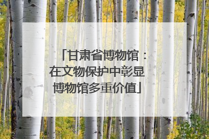 甘肃省博物馆：在文物保护中彰显博物馆多重价值