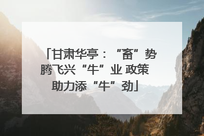 甘肃华亭：“畜”势腾飞兴“牛”业 政策助力添“牛”劲