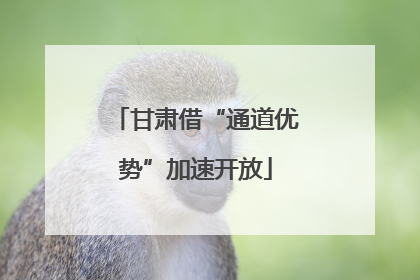 甘肃借“通道优势”加速开放
