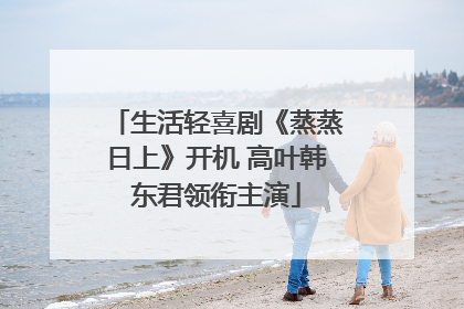 生活轻喜剧《蒸蒸日上》开机 高叶韩东君领衔主演