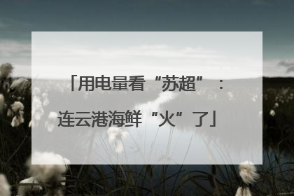 用电量看“苏超”：连云港海鲜“火”了