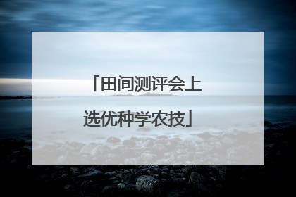 田间测评会上选优种学农技