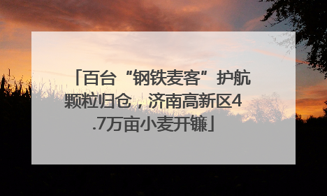 百台“钢铁麦客”护航颗粒归仓，济南高新区4.7万亩小麦开镰