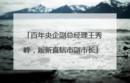 百年央企副总经理王秀峰，履新直辖市副市长