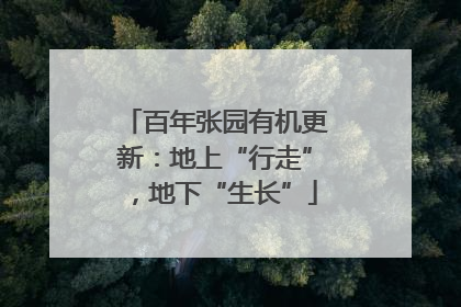 百年张园有机更新：地上“行走”，地下“生长”