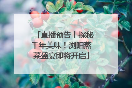 直播预告丨探秘千年美味！浏阳蒸菜盛宴即将开启