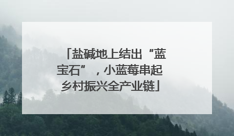 盐碱地上结出“蓝宝石”，小蓝莓串起乡村振兴全产业链