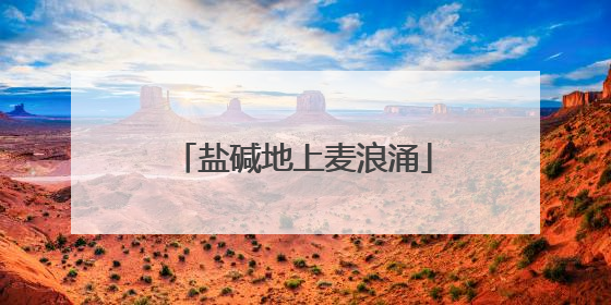 盐碱地上麦浪涌