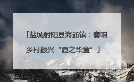 盐城射阳县海通镇：奏响乡村振兴“夏之华章”