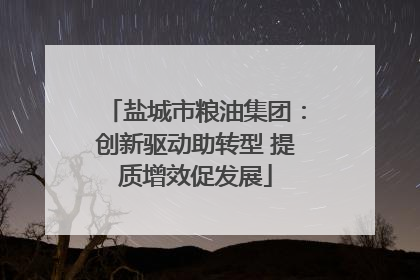 盐城市粮油集团：创新驱动助转型 提质增效促发展