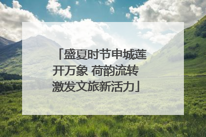 盛夏时节申城莲开万象 荷韵流转激发文旅新活力