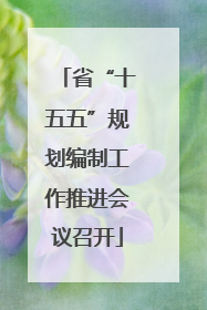 省“十五五”规划编制工作推进会议召开