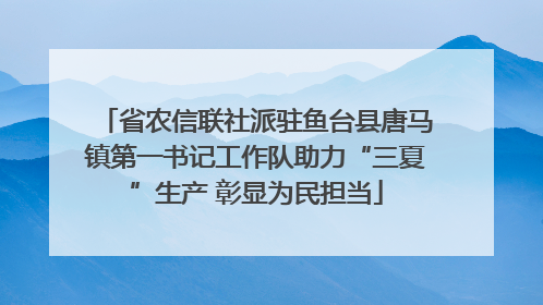省农信联社派驻鱼台县唐马镇第一书记工作队助力“三夏”生产 彰显为民担当