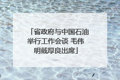 省政府与中国石油举行工作会谈 毛伟明戴厚良出席