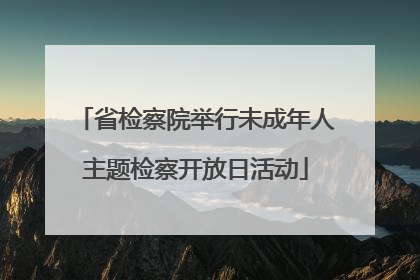 省检察院举行未成年人主题检察开放日活动