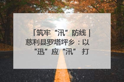 筑牢“汛”防线｜慈利县罗塔坪乡：以“迅”应“汛” 打赢暴雨防御战