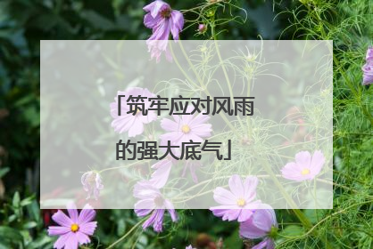 筑牢应对风雨的强大底气