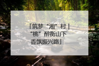 筑梦“湘”村｜“桃”醉衡山下 香飘振兴路
