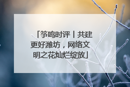筝鸣时评丨共建更好潍坊，网络文明之花灿烂绽放