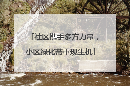 社区携手多方力量，小区绿化带重现生机