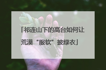 祁连山下的高台如何让荒漠“服软”披绿衣