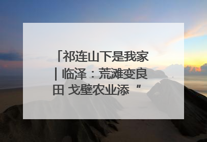 祁连山下是我家｜临泽：荒滩变良田 戈壁农业添“绿”生“金”