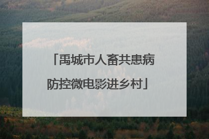 禹城市人畜共患病防控微电影进乡村