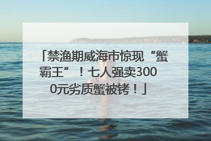 禁渔期威海市惊现“蟹霸王”！七人强卖3000元劣质蟹被铐！