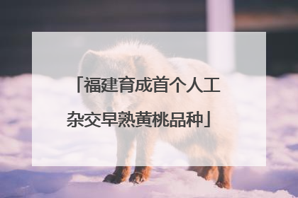 福建育成首个人工杂交早熟黄桃品种