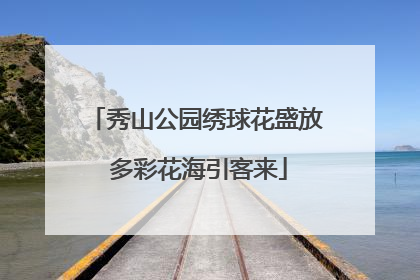 秀山公园绣球花盛放 多彩花海引客来