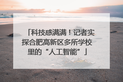 科技感满满！记者实探合肥高新区多所学校里的“人工智能”