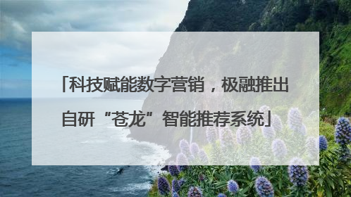 科技赋能数字营销，极融推出自研“苍龙”智能推荐系统